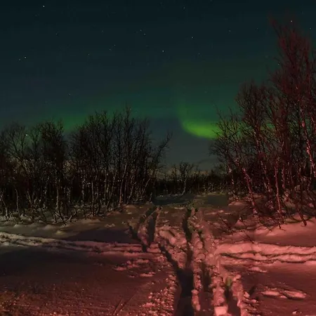 Paradise I Troms